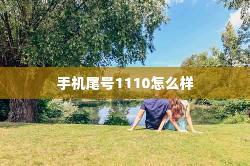 手机尾号1110怎么样
