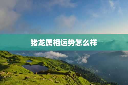 猪龙属相运势怎么样