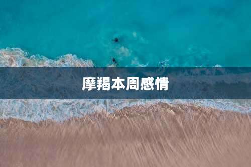 摩羯本周感情