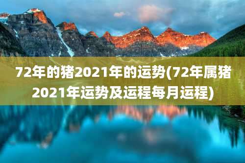 72年的猪2021年的运势(72年属猪2021年运势及运程每月运程)