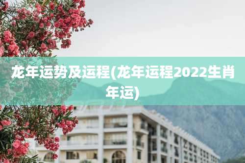 龙年运势及运程(龙年运程2022生肖年运)