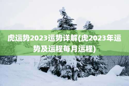 虎运势2023运势详解(虎2023年运势及运程每月运程)