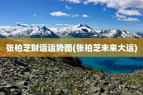 张柏芝财运运势图(张柏芝未来大运)