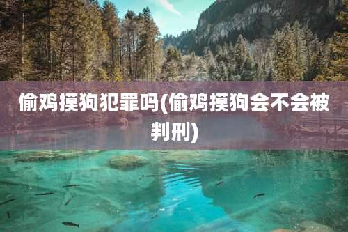 偷鸡摸狗犯罪吗(偷鸡摸狗会不会被判刑)