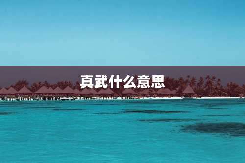 真武什么意思