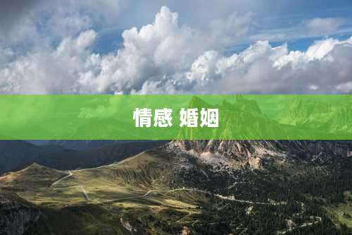情感 婚姻