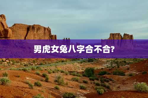 男虎女兔八字合不合?