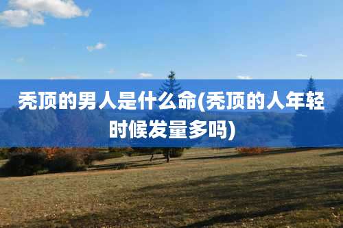 秃顶的男人是什么命(秃顶的人年轻时候发量多吗)