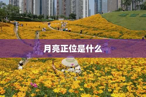 月亮正位是什么