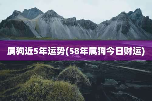 属狗近5年运势(58年属狗今日财运)