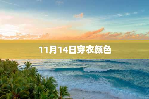 11月14日穿衣颜色