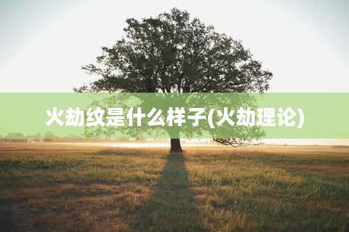 火劫纹是什么样子(火劫理论)