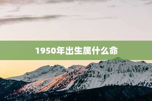 1950年出生属什么命
