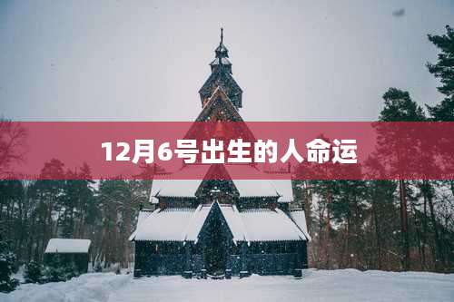 12月6号出生的人命运