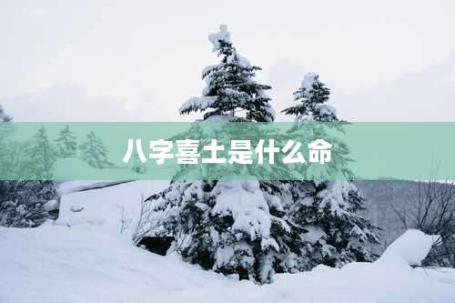 八字喜土是什么命