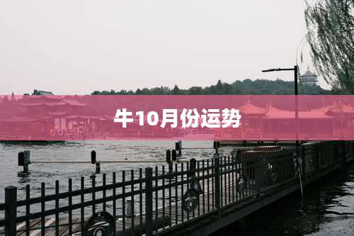 牛10月份运势