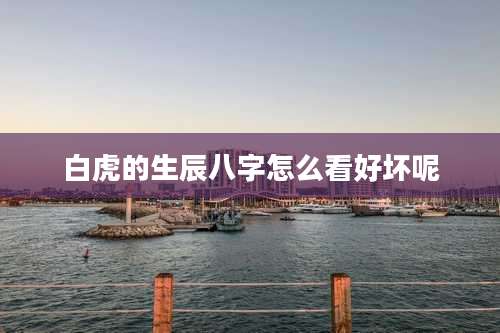 白虎的生辰八字怎么看好坏呢