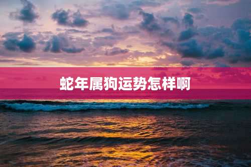 蛇年属狗运势怎样啊