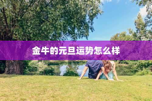 金牛的元旦运势怎么样