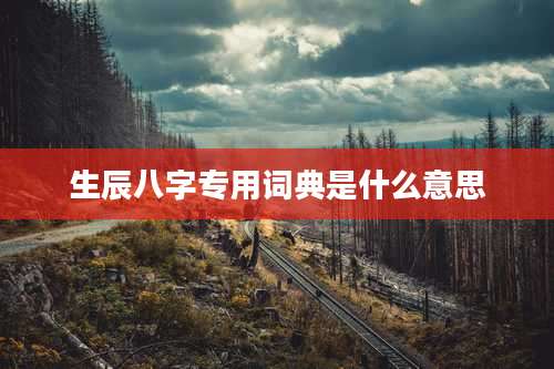 生辰八字专用词典是什么意思