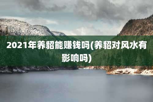 2021年养貂能赚钱吗(养貂对风水有影响吗)