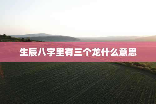 生辰八字里有三个龙什么意思