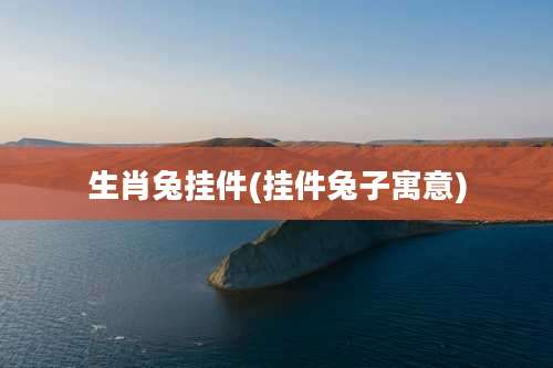 生肖兔挂件(挂件兔子寓意)