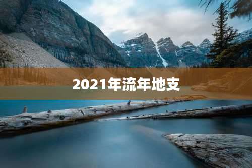 2021年流年地支