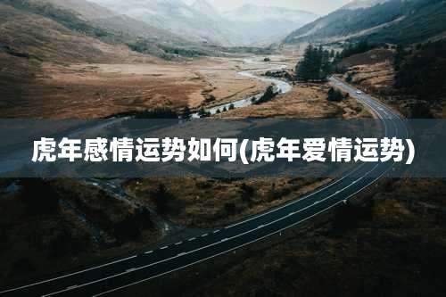 虎年感情运势如何(虎年爱情运势)