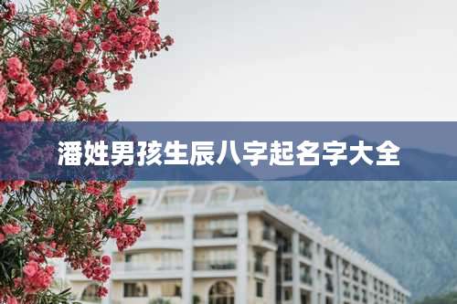 潘姓男孩生辰八字起名字大全