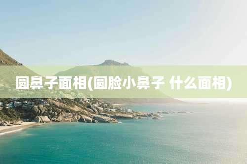 圆鼻子面相(圆脸小鼻子 什么面相)