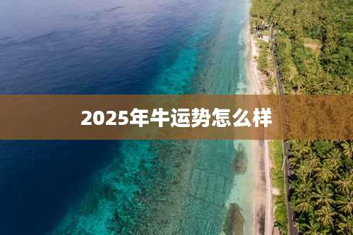2025年牛运势怎么样