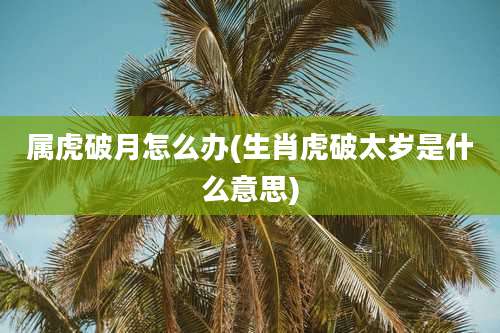 属虎破月怎么办(生肖虎破太岁是什么意思)