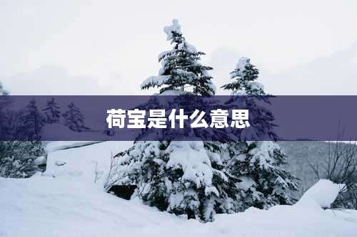 荷宝是什么意思