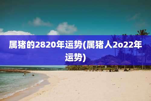 属猪的2820年运势(属猪人2o22年运势)