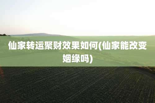 仙家转运聚财效果如何(仙家能改变姻缘吗)