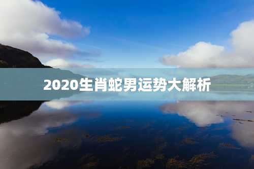 2020生肖蛇男运势大解析