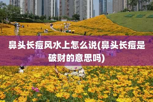 鼻头长痘风水上怎么说(鼻头长痘是破财的意思吗)