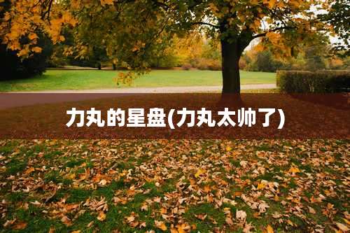 力丸的星盘(力丸太帅了)