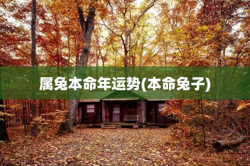 属兔本命年运势(本命兔子)