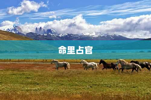 命里占官