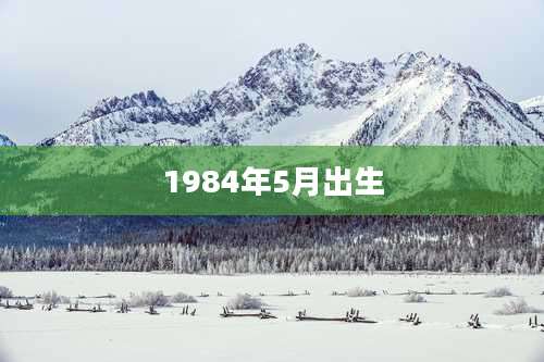 1984年5月出生