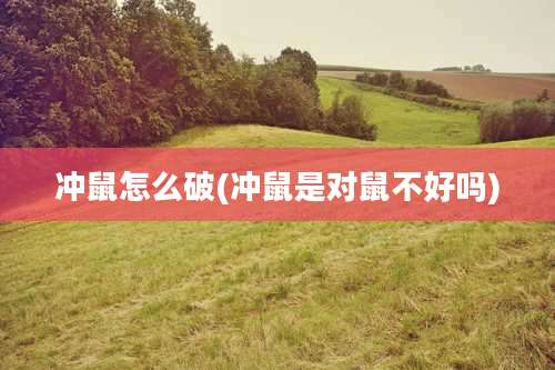 冲鼠怎么破(冲鼠是对鼠不好吗)