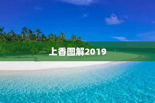 上香图解2019