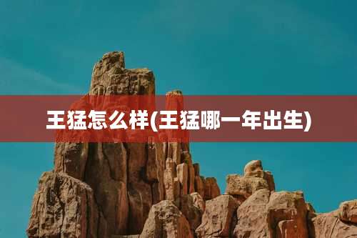 王猛怎么样(王猛哪一年出生)