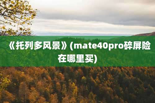 《托列多风景》(mate40pro碎屏险在哪里买)