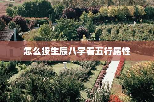 怎么按生辰八字看五行属性