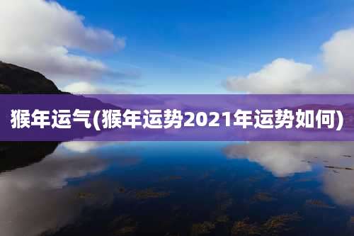 猴年运气(猴年运势2021年运势如何)