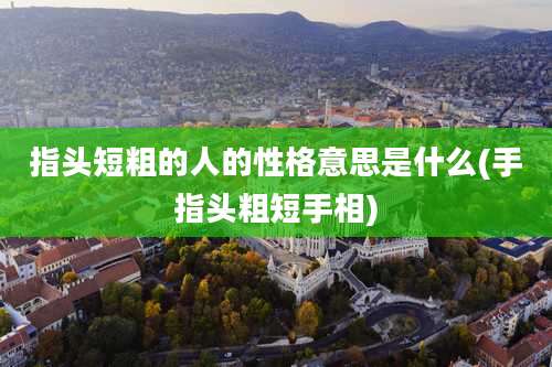 指头短粗的人的性格意思是什么(手指头粗短手相)