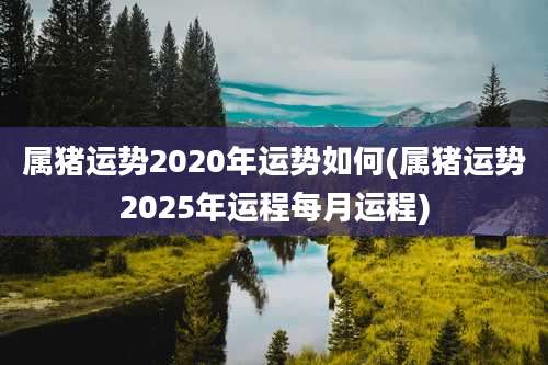 属猪运势2020年运势如何(属猪运势2025年运程每月运程)